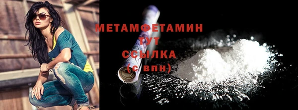 индика Богородск