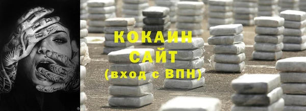 индика Богородск