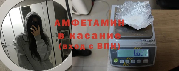индика Богородск