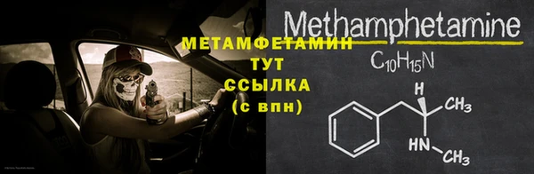 индика Богородск