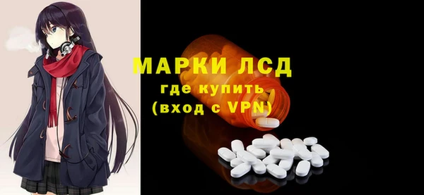 индика Богородск