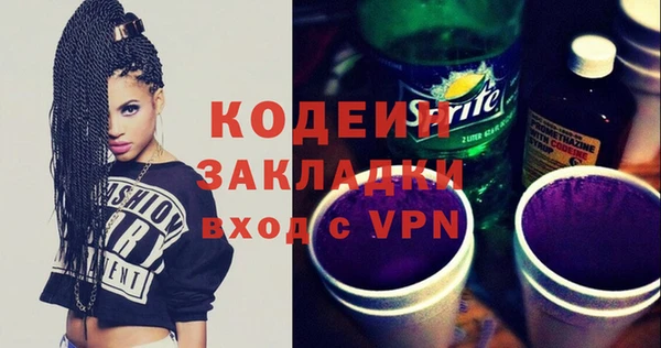 индика Богородск
