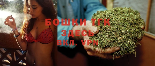 шишки Богданович