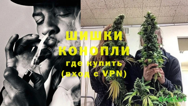 шишки Богданович
