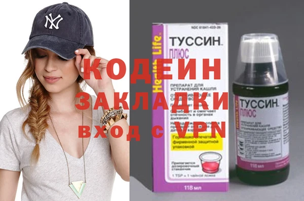 индика Богородск