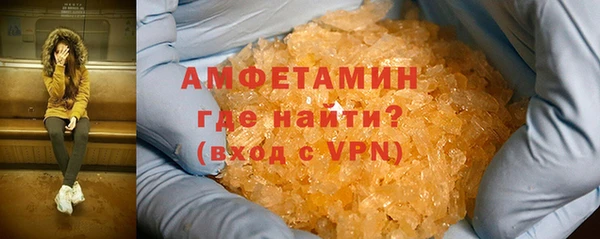 индика Богородск