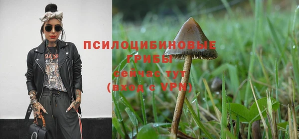 шишки Богданович