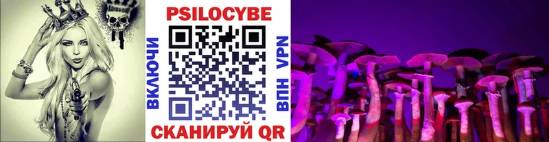 Псилоцибиновые грибы Psilocybe  Вятские Поляны 